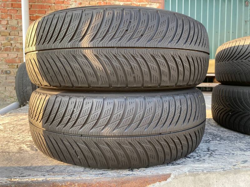 205/60R16 Michelin Pilot Alpin 5 0666 фото