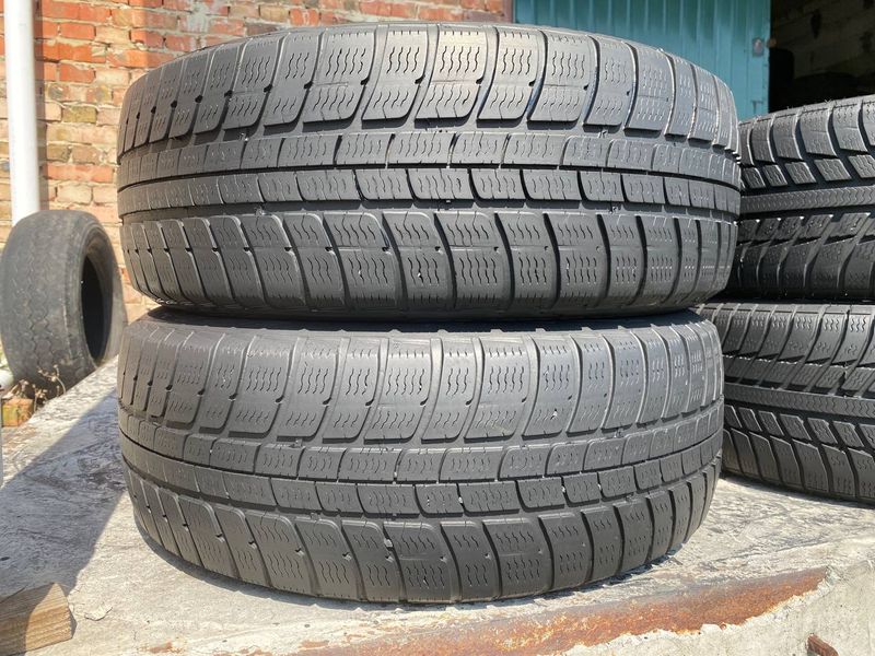 205/55R16 Michelin Pilot Alpin 0619 фото