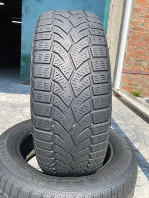 205/55R16 General Altimax Winter Plus 0620 фото