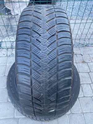 195/55R15 Maxxis ALLSeason 0299olx фото