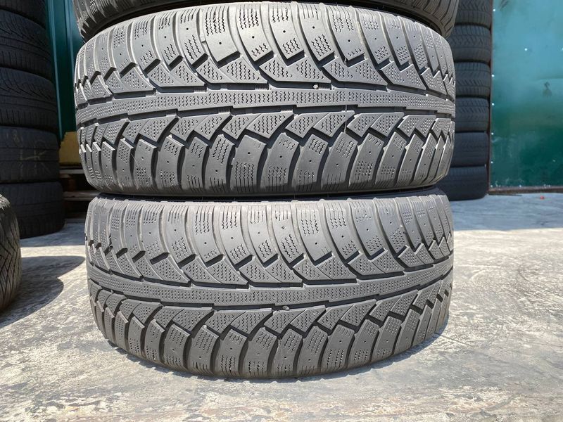 225/50R18 Goodride FrostExtreme 01498olx фото