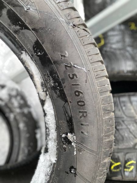 225/60R17 Dunlop SP WinterSport 3D 0785 фото