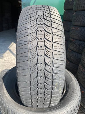 205/60R16 Sava Eskimo HP 2 0150 фото