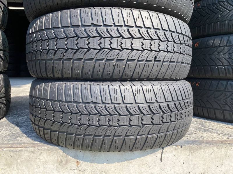 205/60R16 Sava Eskimo HP 2 0150 фото