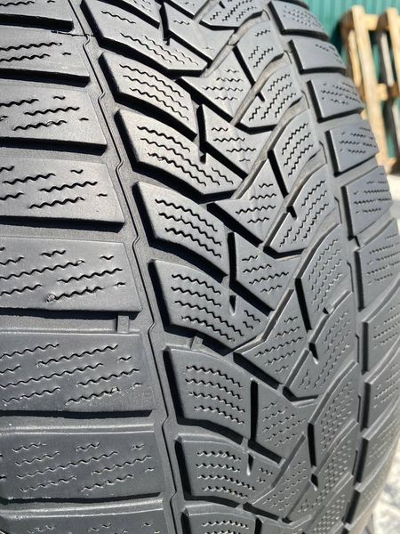 225/50R17 Dunlop Winter Sport 5 01556 фото