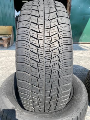 205/55R16 Viking WinTeach 01608 фото