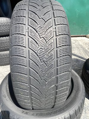 225/50R17 Platin RP60 Winter 01558 фото