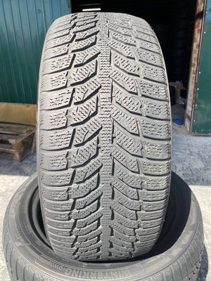 225/50R17 Doblest Winterking DW08 01561 фото