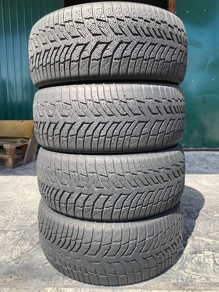 225/50R17 Doblest Winterking DW08 01561 фото