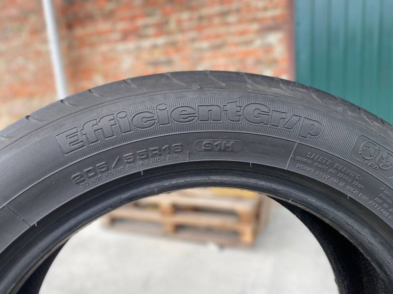 205/55R16 Goodyear Efficient Grip 0551 фото