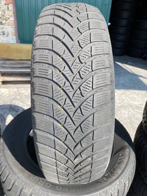 185/65R15 Semperit Speed-Grip 5 0502 фото