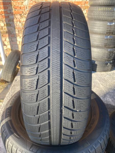 215/60R16 Michelin Primacy Alpin  01797 фото