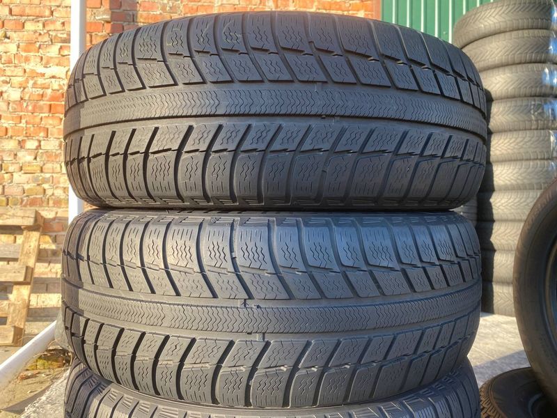 215/60R16 Michelin Primacy Alpin  01797 фото