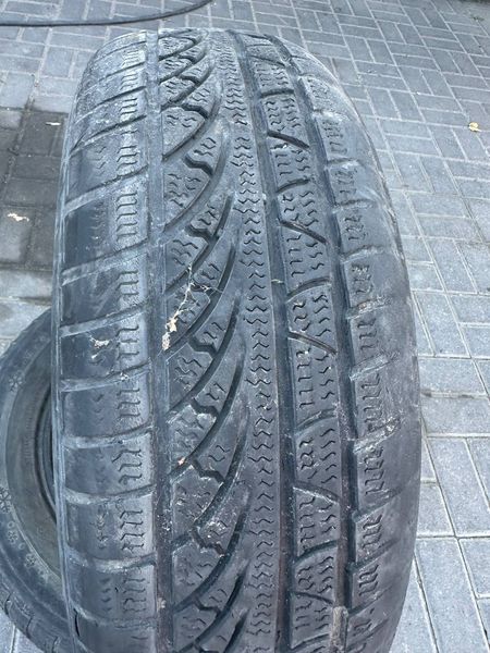 205/65R16 Petlas Snow Master 01639olx фото