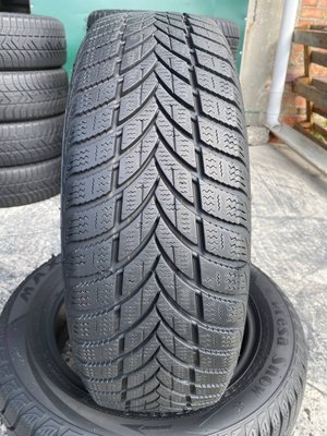 185/60R15 Maxxis Presa Snow 0461 фото