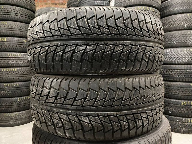 195/55R15 Nankang Snow SV-1 0509 фото