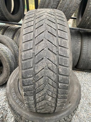 235/55R17 Vredestein Wintrac Xtreme S d0385 фото