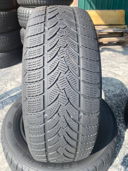 205/55R16 Platin RP60 Winter 0141 фото