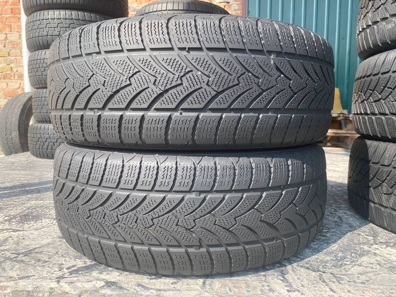 205/55R16 Platin RP60 Winter 0141 фото